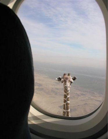 Flying Over Africa