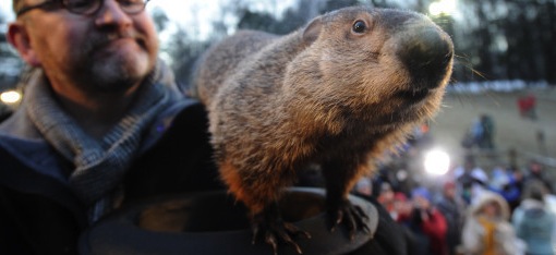 Punxsutawney Phil