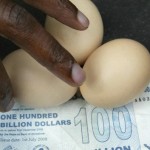 Z$100m for 3 eggs